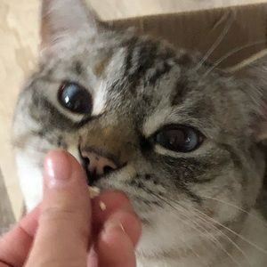 Meet your Posher, Jayden